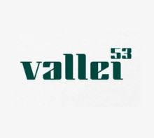 logo vallei53